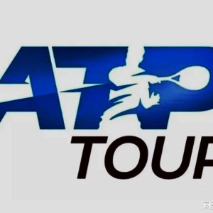 盛世娱乐官方入口-德大师伤退谢大师丢盘，杨钊煊连飙脏话被批失心疯，王炸组合输球